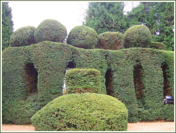 Hedge Reduction and Trimming image 1349023599