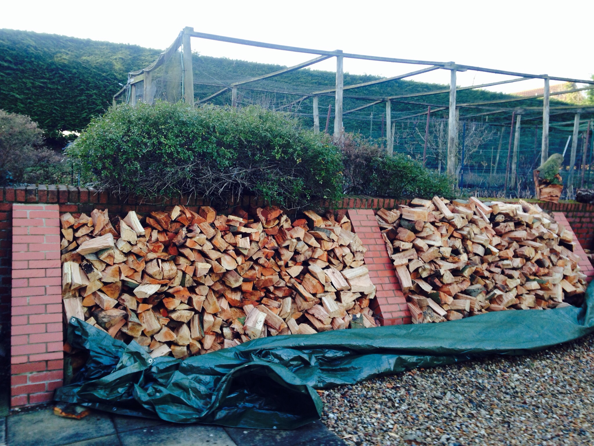 Treefellas tree surgery Laxfield. Sectionaly dismantling dead beech Image Treefellas tree surgery Laxfield. Sectionaly dismantling dead beech Image