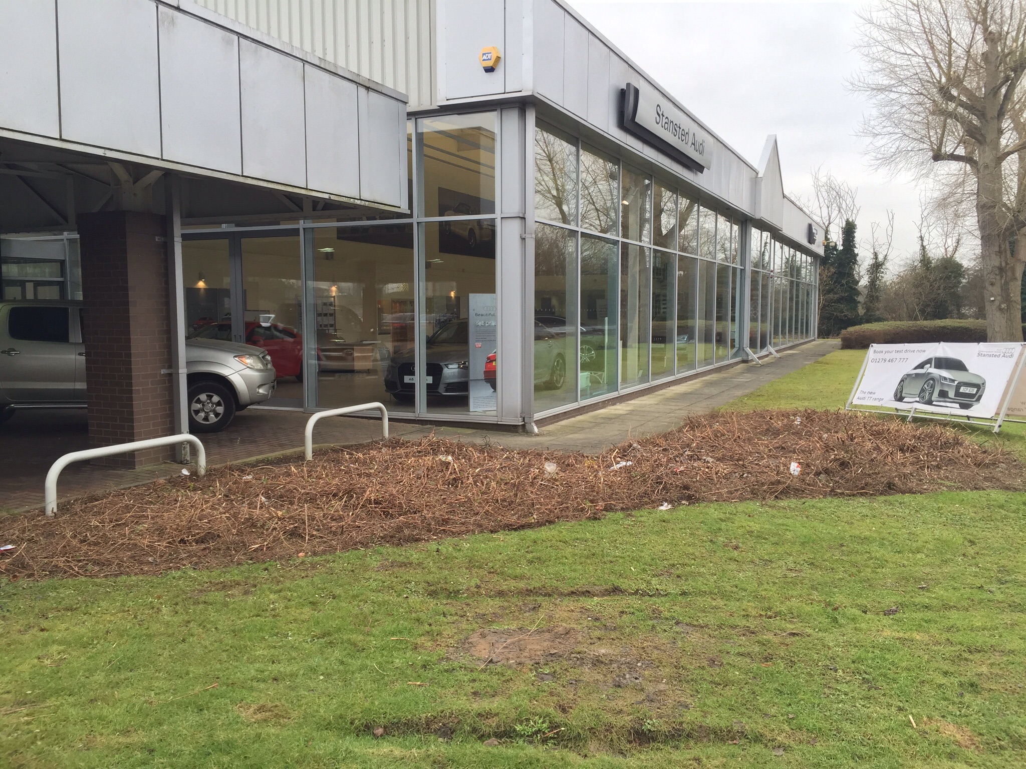 Tree surgery Stanstead. Image Tree surgery Stanstead. Image
