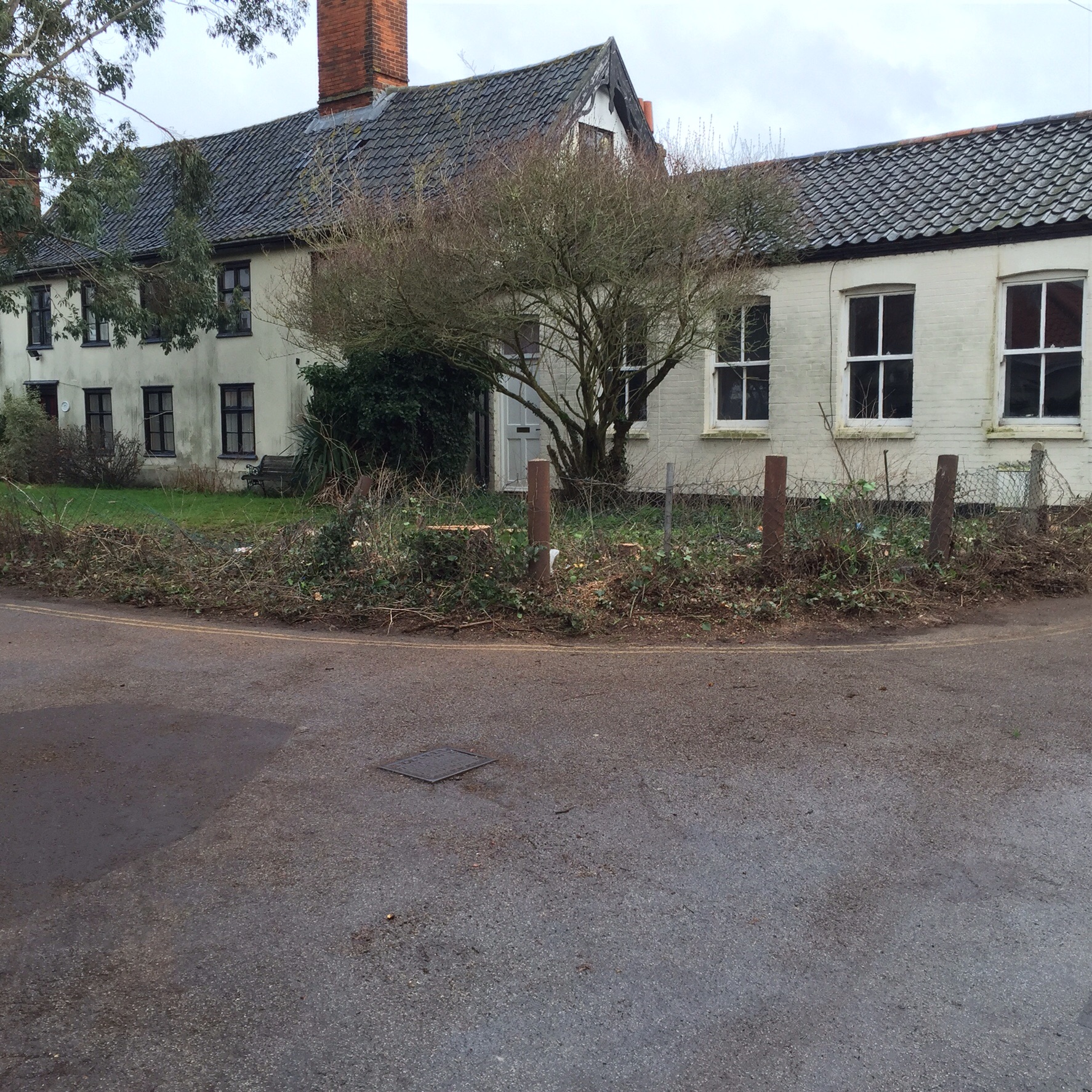 Tree surgery site clearance Diss Norfolk. Image Tree surgery site clearance Diss Norfolk. Image