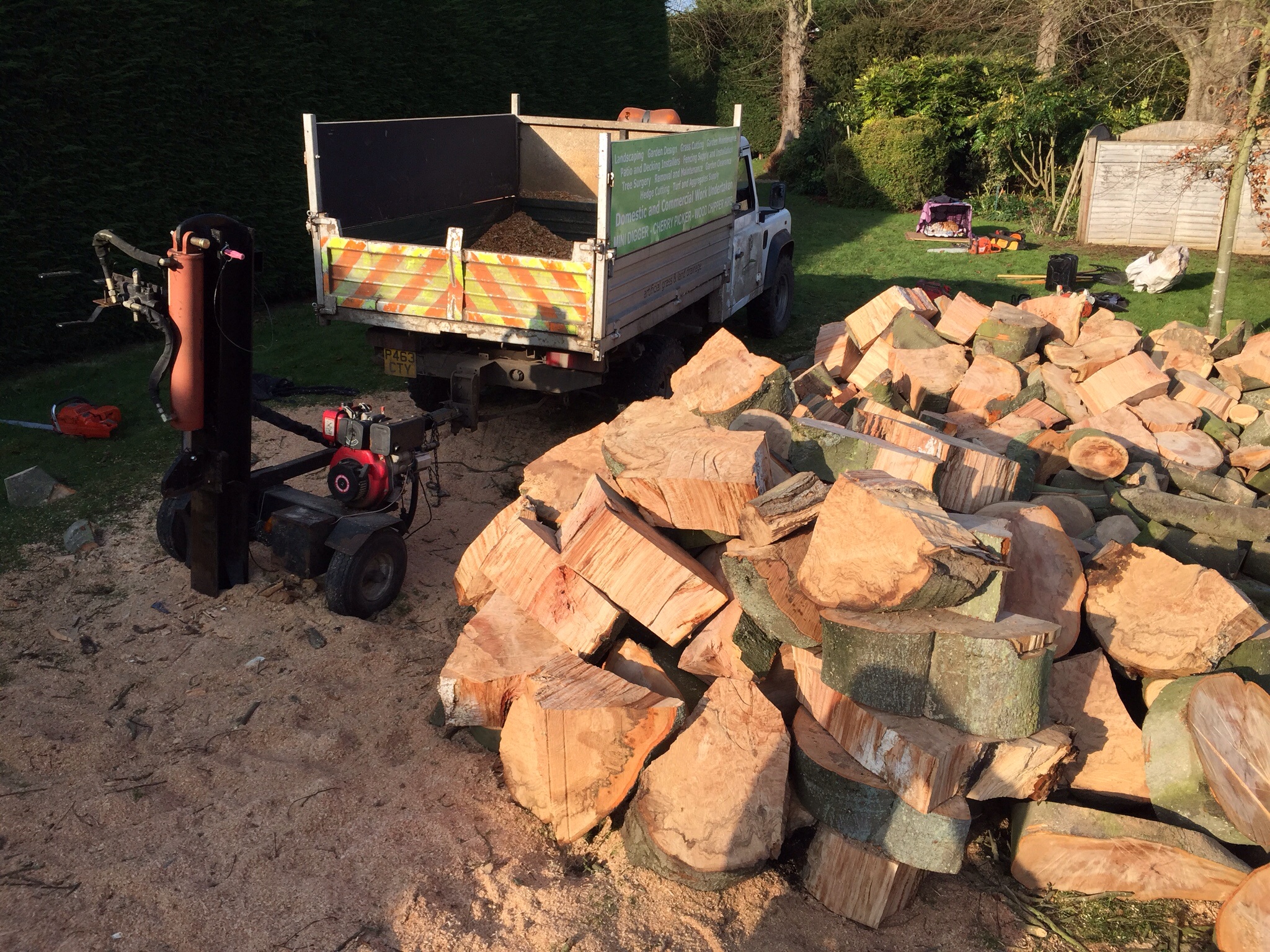 Treefellas tree surgery Laxfield. Sectionaly dismantling dead beech Image Treefellas tree surgery Laxfield. Sectionaly dismantling dead beech Image