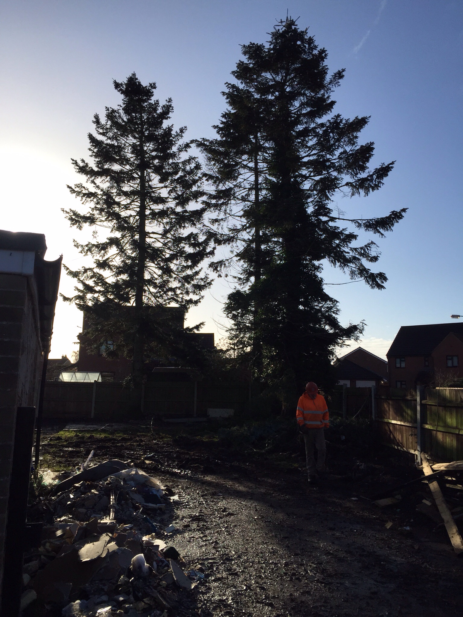Tree surgery site clearance Attleborogh Norfolk. Image Tree surgery site clearance Attleborogh Norfolk. Image