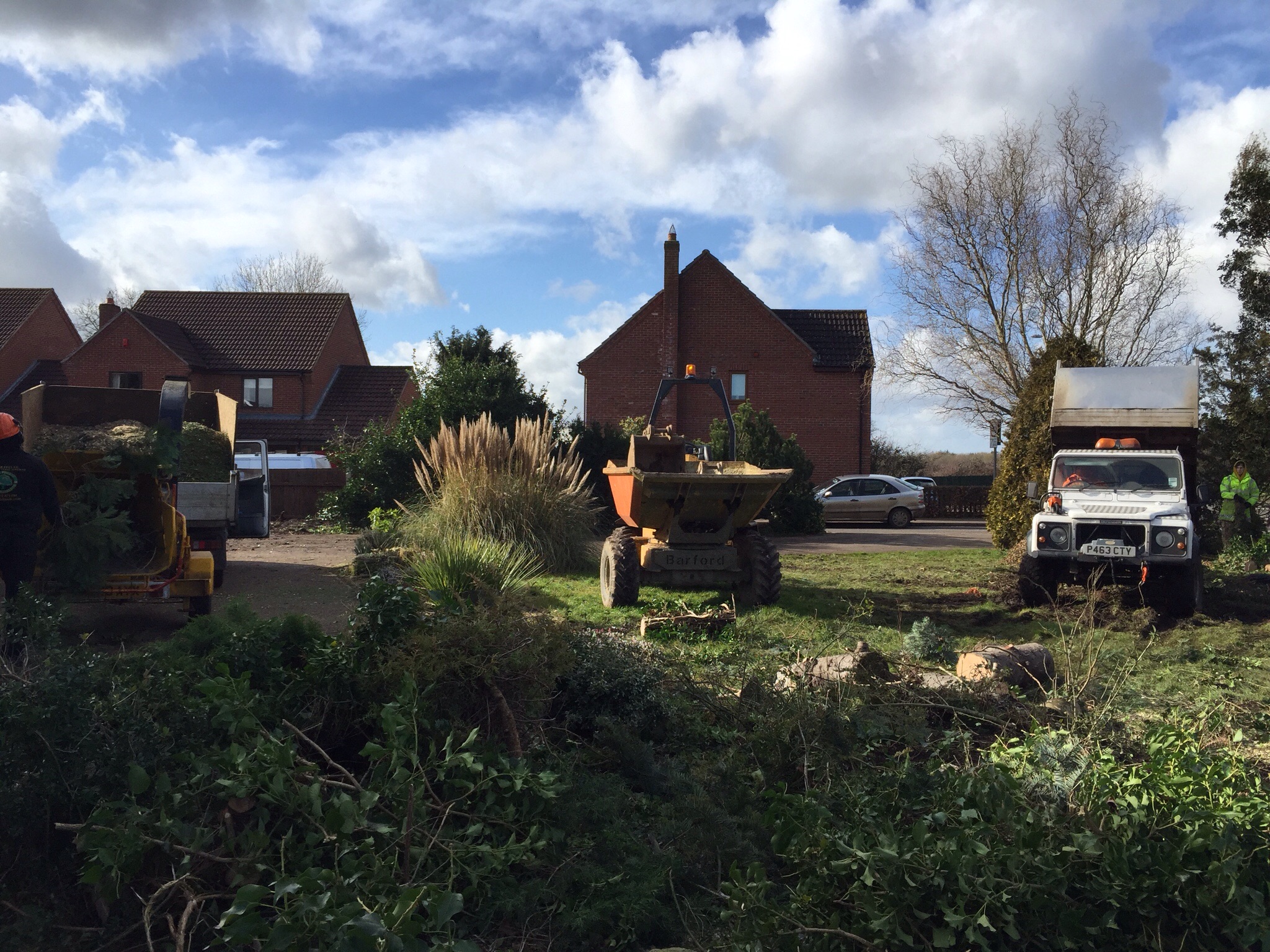 Tree surgery site clearance Attleborogh Norfolk. Image Tree surgery site clearance Attleborogh Norfolk. Image