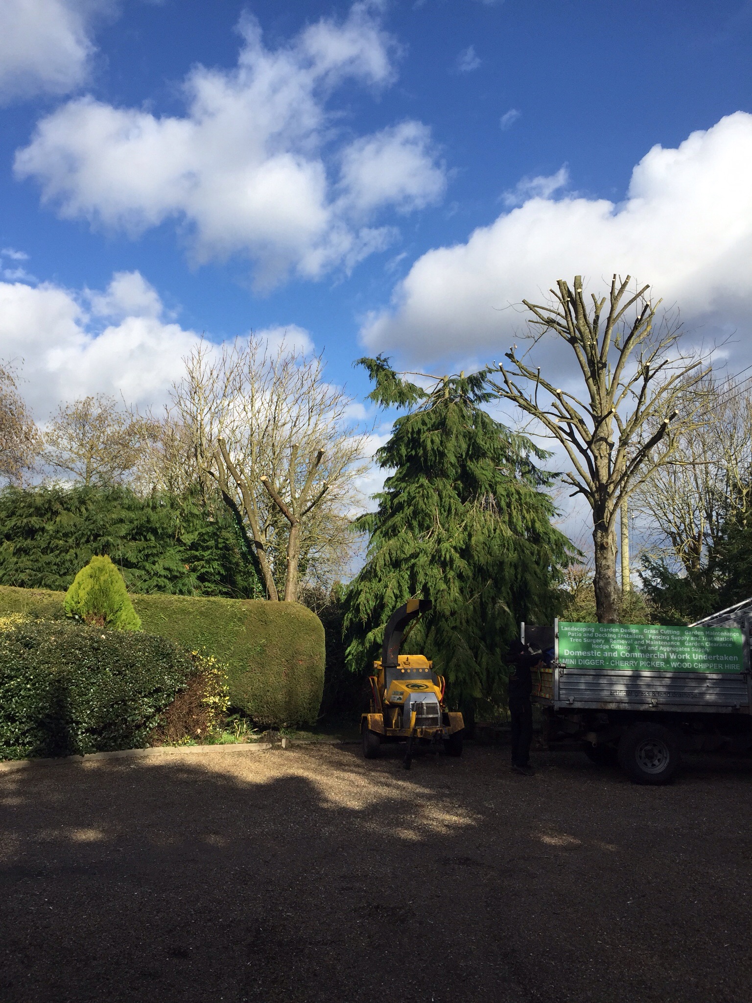 Tree surgery Burston Norfolk  Image Tree surgery Burston Norfolk  Image