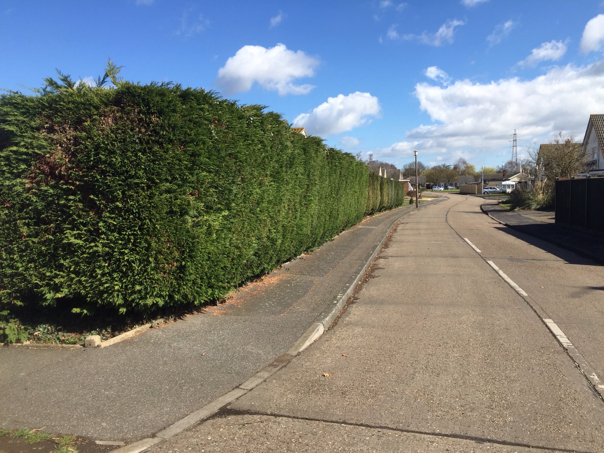 Tree surgery Ipswich ( Sproughton ) Image Tree surgery Ipswich ( Sproughton ) Image