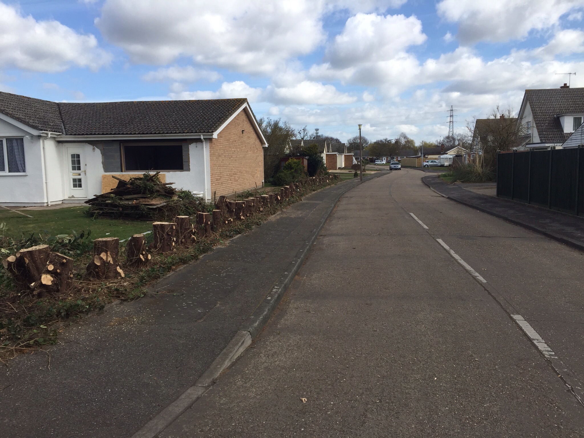 Tree surgery Ipswich ( Sproughton ) Image Tree surgery Ipswich ( Sproughton ) Image