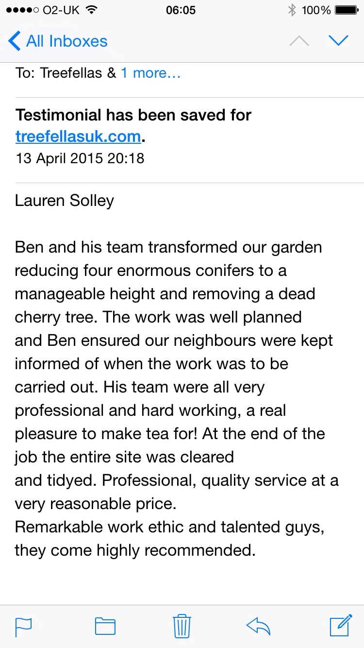 Conifer reductions Yaxley Suffolk  Image Conifer reductions Yaxley Suffolk  Image
