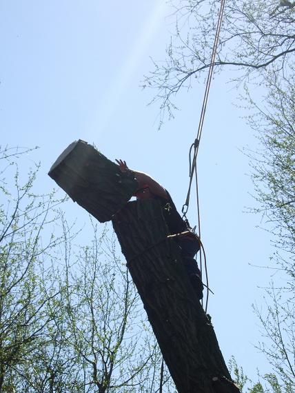 All Other Images image 1102520965