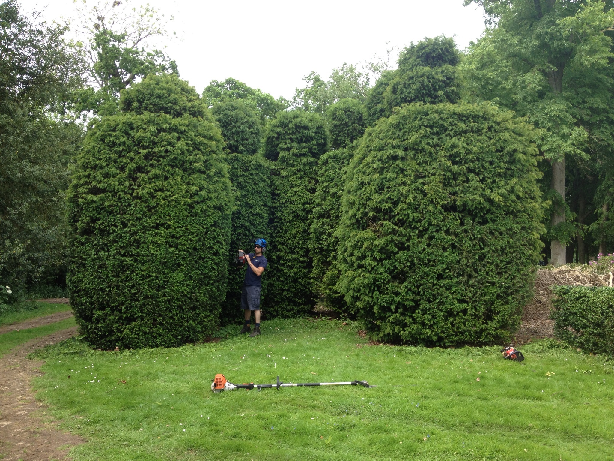 All Other Images image 755403782