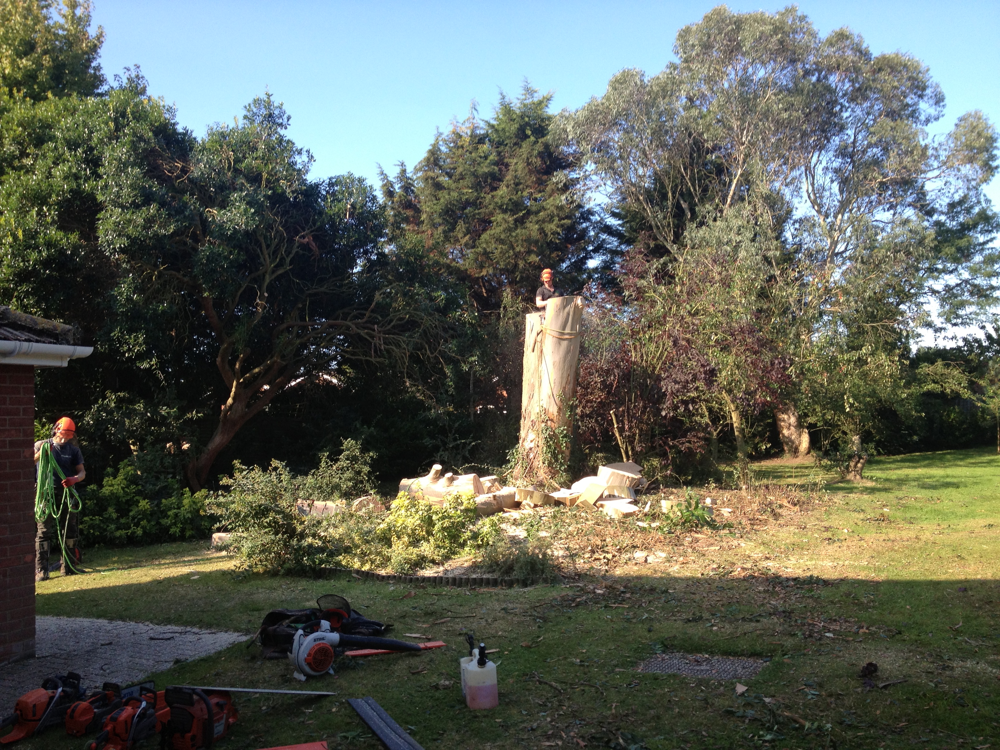 All Other Images image 1508449121