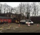 Tree surgery site clearance Bury St Edmunds  Image
