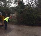 Tree surgery site clearance Diss Norfolk. Image
